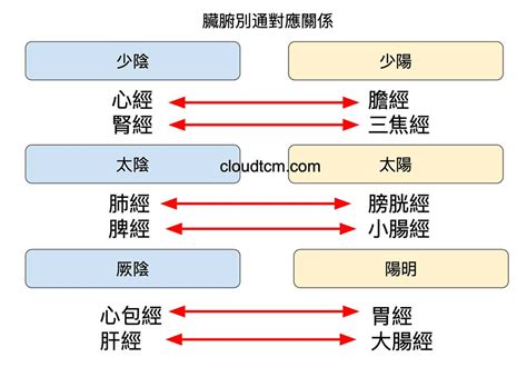 經絡刷功效|從經絡臟腑別通的對應關係，找出6組神效的穴道配。